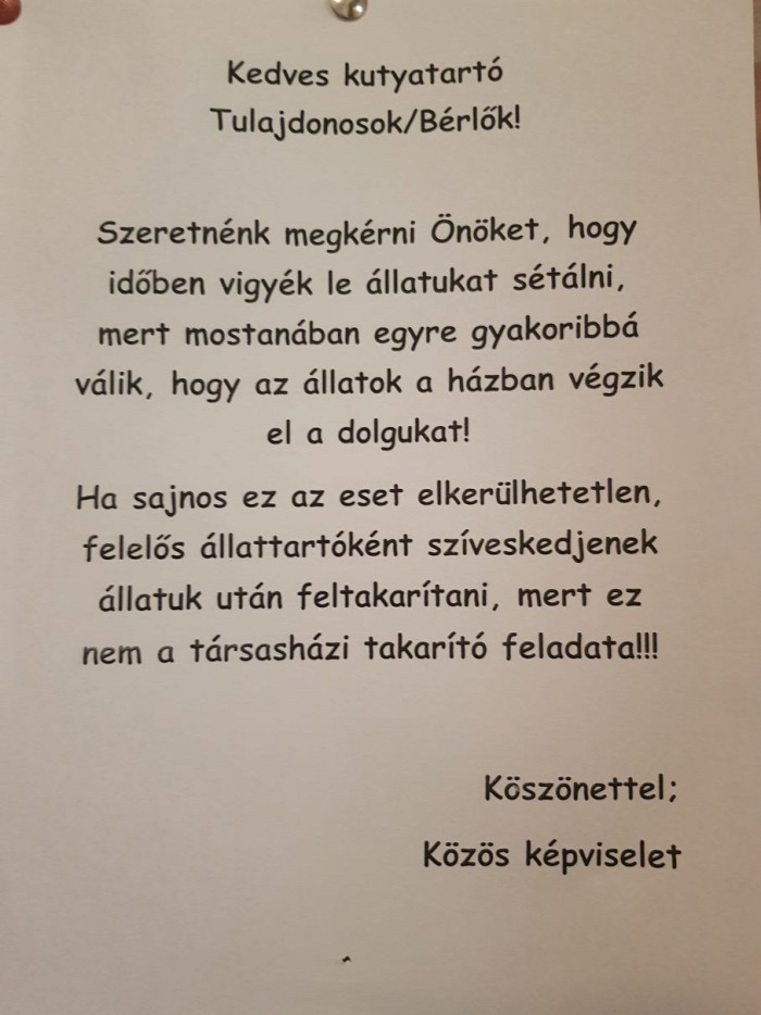 házikedvenc kisállat kutya kutyasétáltatás kutyapiszok kutyagumi társasház 2018 Budapest Magyarország