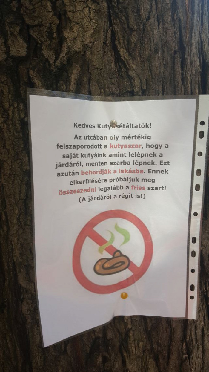 házikedvenc kutya kutyasétáltatás kutyapiszok kutyagumi Budapest Ingatlanműhely