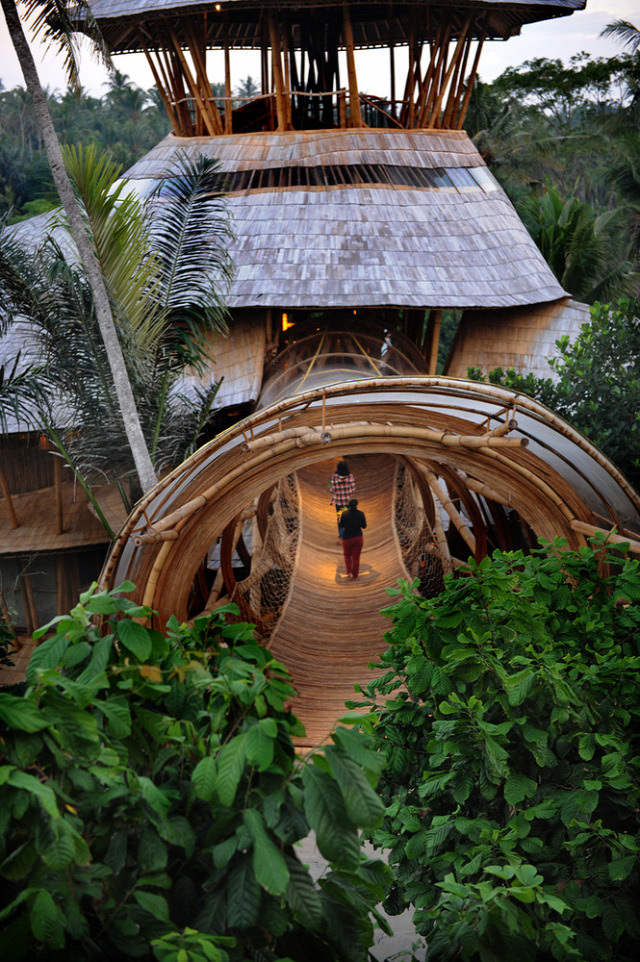 bambusz ház építészet építőanyag