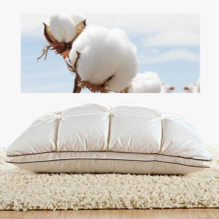 Why Goose Down Pillows are the best?