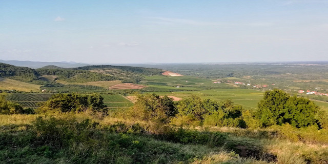 szegi vára Bodrogkisfalud vár Szegi Várhegy Várhegy vártúra