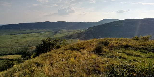 szegi vára Bodrogkisfalud vár Szegi Várhegy Várhegy vártúra