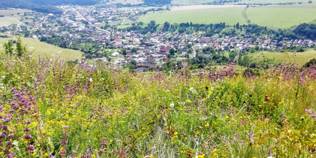 Tarkő Kamenica