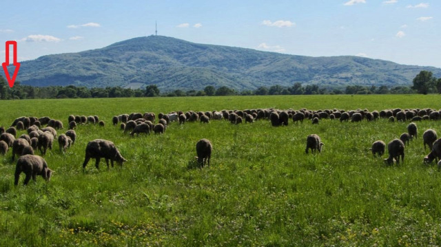 tokaji vár vártúra várrom Szapolyai vár Rákóczi vár