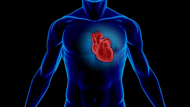 mitől alakul ki a szívnagyobbodás