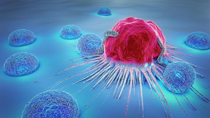 egészség daganat kemoterápia