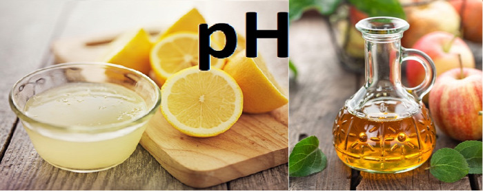 táplálkozás egészség citrom lúgosítás probiotikum