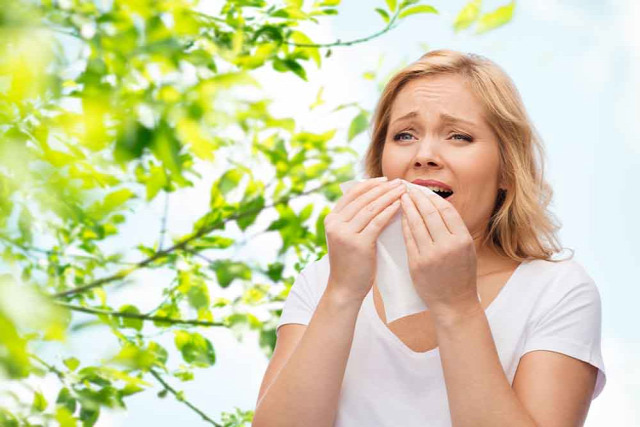 egészség allergia szénanátha fül-orr-gégész allergológus Dr. Heinz Gábor szakértő