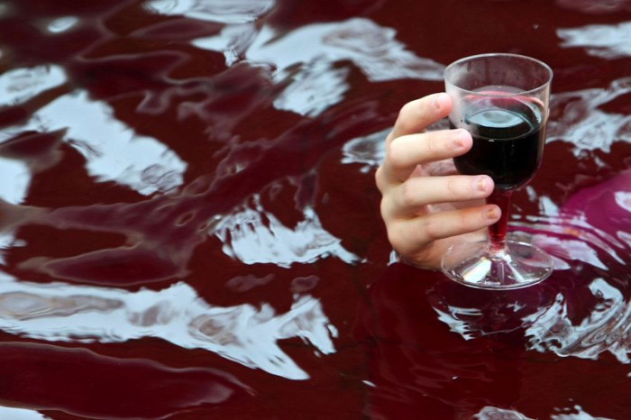 egészség egészségünkre test lélek táplálkozás bor vörösbor rezveratrol antioxidáns polifenol