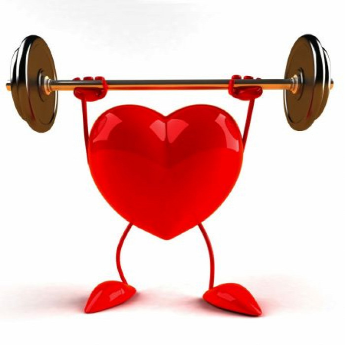 egészség egészségünkre test szív gyümölcs zöldség fokhagyma olívaolaj omega-3 vörösbor étcsokoládé gingko mozgás kardiovaszkuláris táplálkozás sport teszt