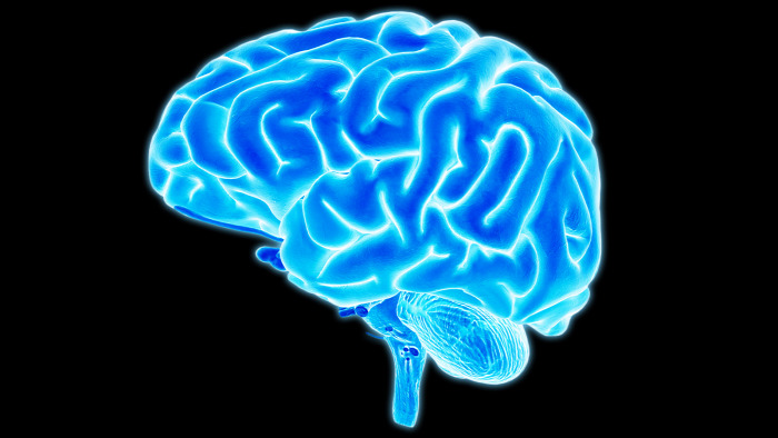 tények tévhitek egészség hátfájás stroke agy test táplálkozás