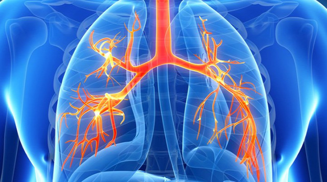 COPD tüdő egészség