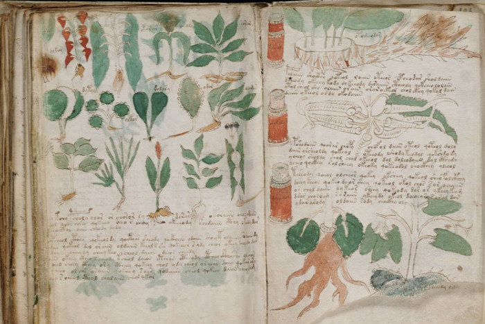 Voynich-kézirat rejtély tudomány mesterséges intelligencia történelem kultúra starlight history