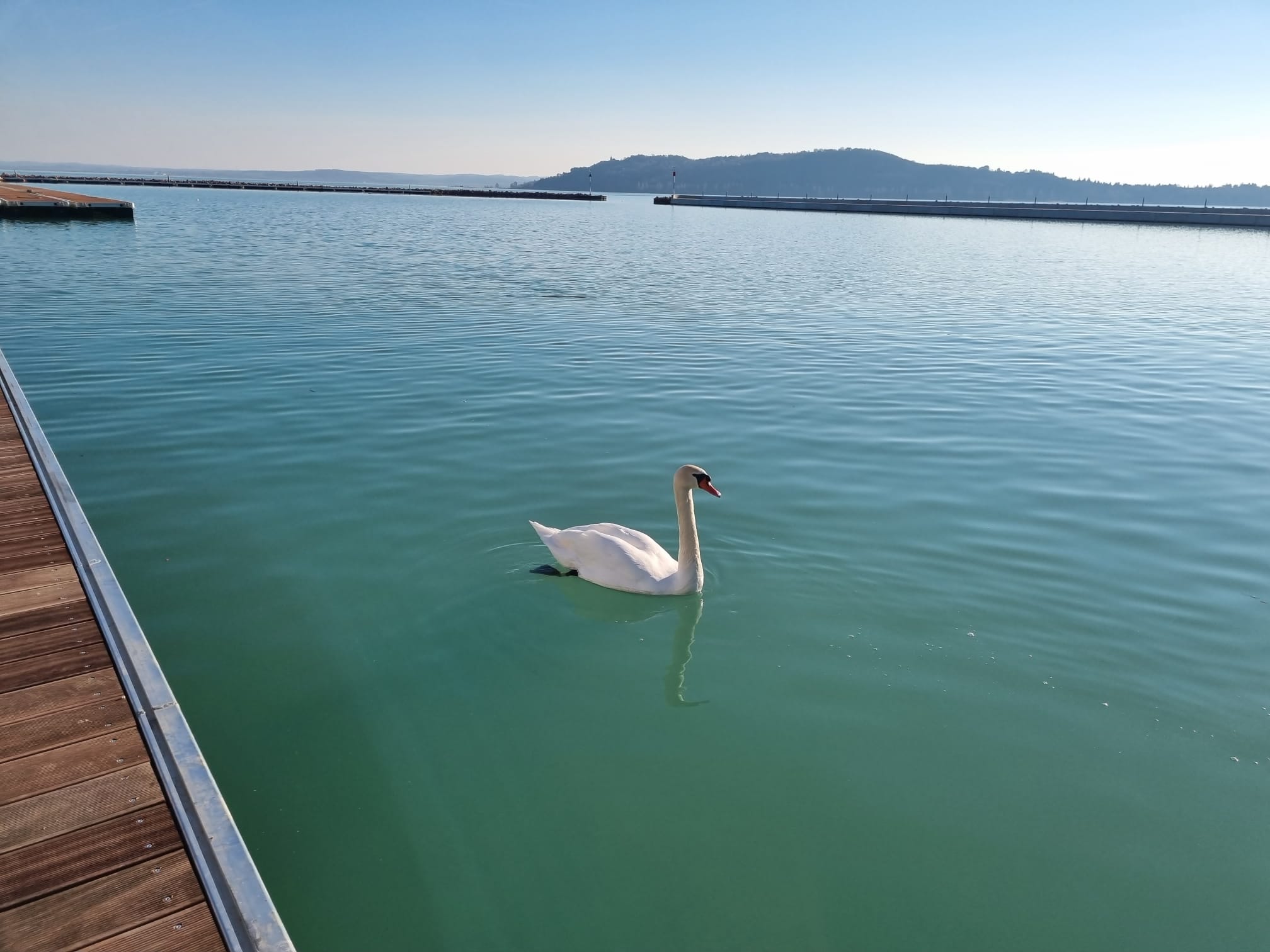 Kékszalag  MVSz  Balatonfüred