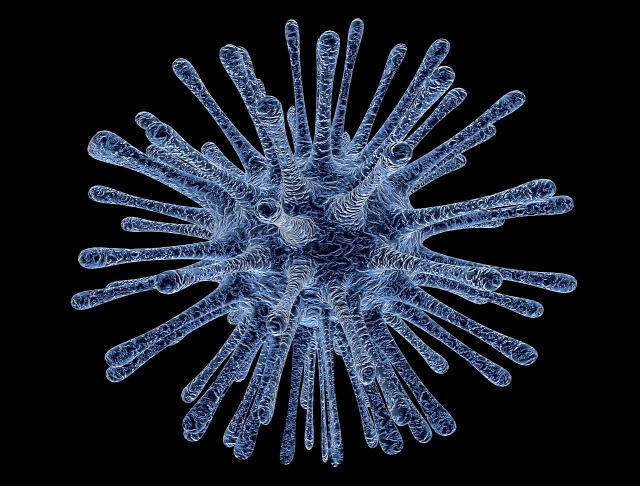 Koronavírus járvány