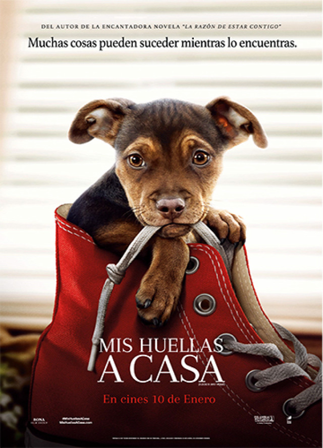 mis huellas a casa descargar pelicula completa mis huellas a casa descargar pelicula completa