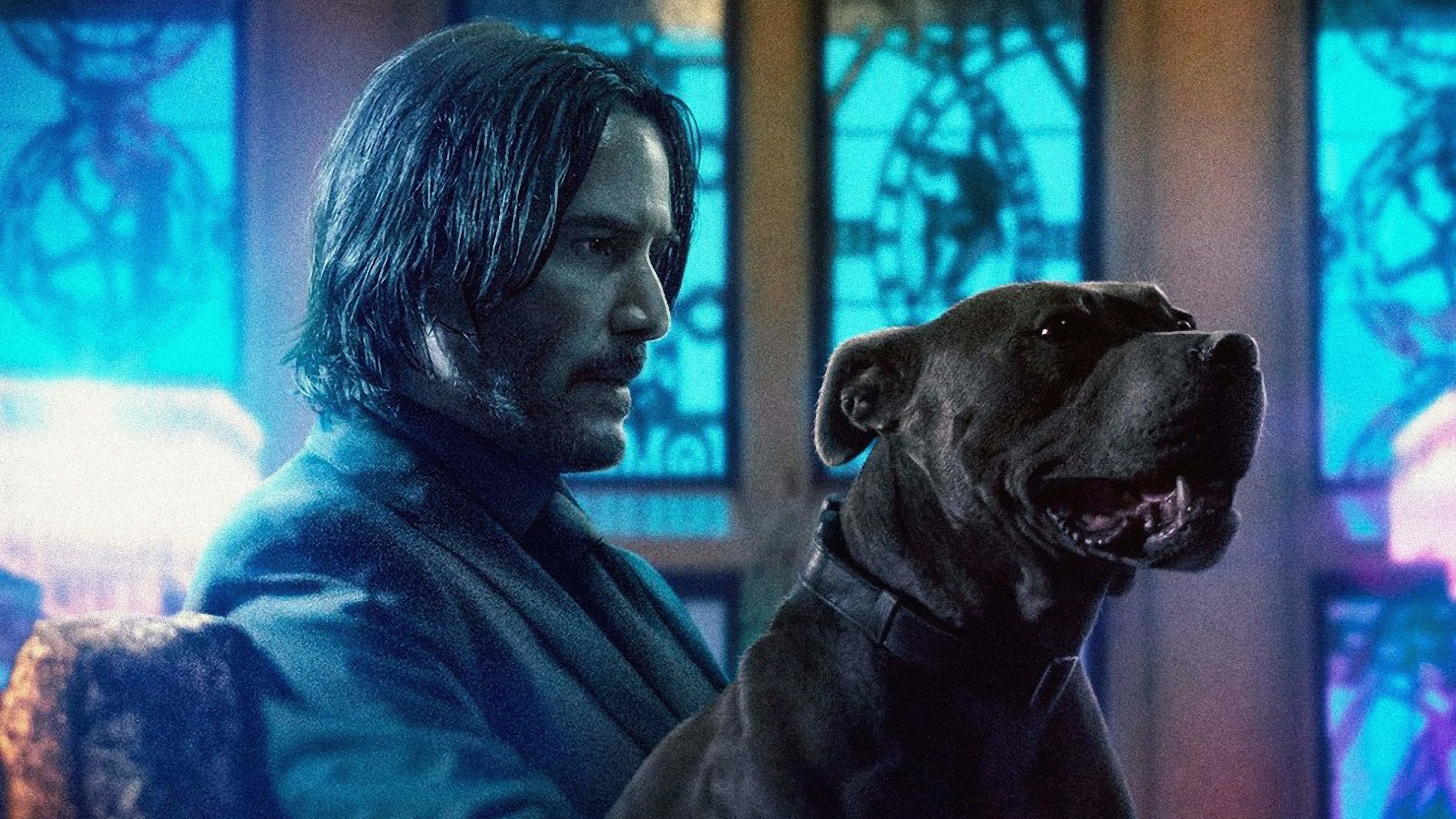 john wick 2 online hd espanol john wick 2 online hd espanol