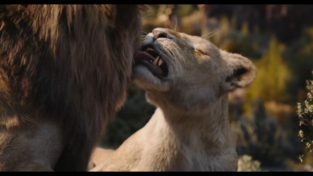 Ver Online El Rey Leon Pelicula Completa Español Latino 2019 Hd Armanhdonline