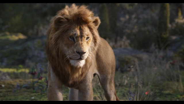 ver-el-rey-leon