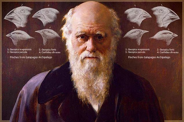 Charles Darwin A fajok eredete CoolTour