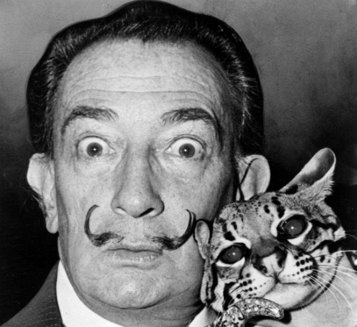 Salvador Dalí CoolTour