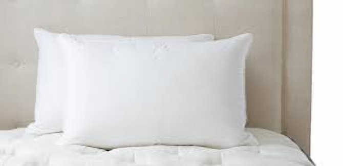 Why do Goose down pillows and comforters are so great?