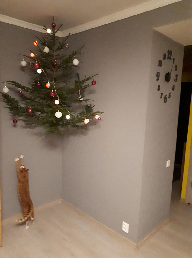 karácsony kutya macska házikedvenc