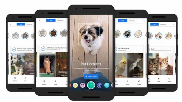 Google app állat fotó Tech/kütyü
