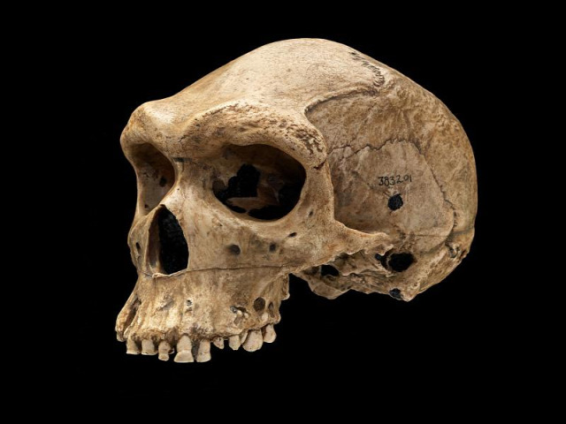 Kabwe őskori koponya régészeti anomália David Hatcher Childress Smithonian Intézet időutazás
