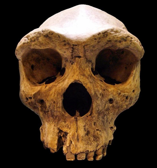 Kabwe őskori koponya régészeti anomália David Hatcher Childress Smithonian Intézet időutazás