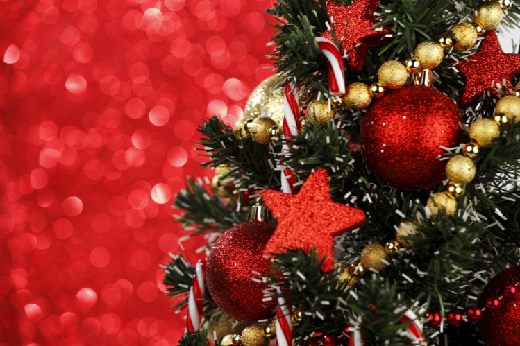 Mirzanya karácsony környezetvédelem fenyőfa ünnepek kiemelt