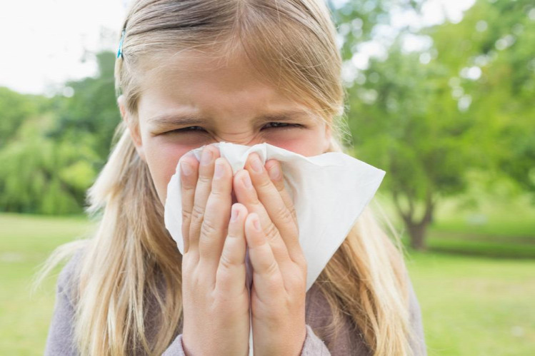 Tünde allergia rovarcsípés allergia darázscsípés
