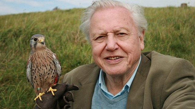 VÍZSPRINT Attenborough élet a földön a föld pestise nagy kihalás