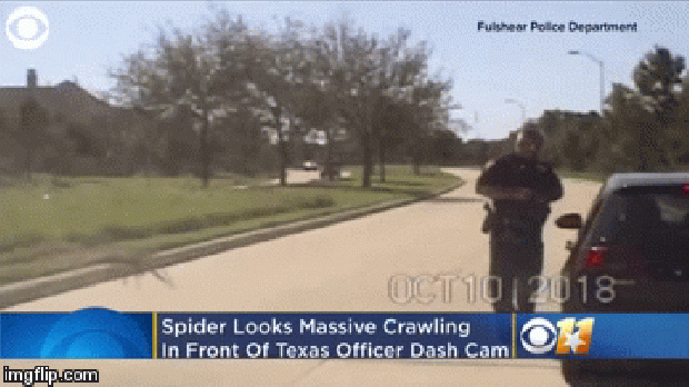 rendőr autó pók óriás