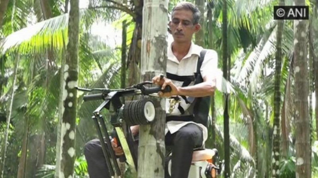 farmer motorkerékpár pálma famászó